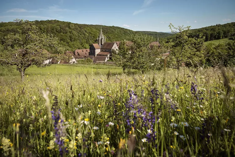 Foto: Staatliche Schlösser und Gärten Baden-Württemberg, Günther Bayerl Kloster und Schloss Bebenhausen, Wiese vor dem Kloster und Schloss